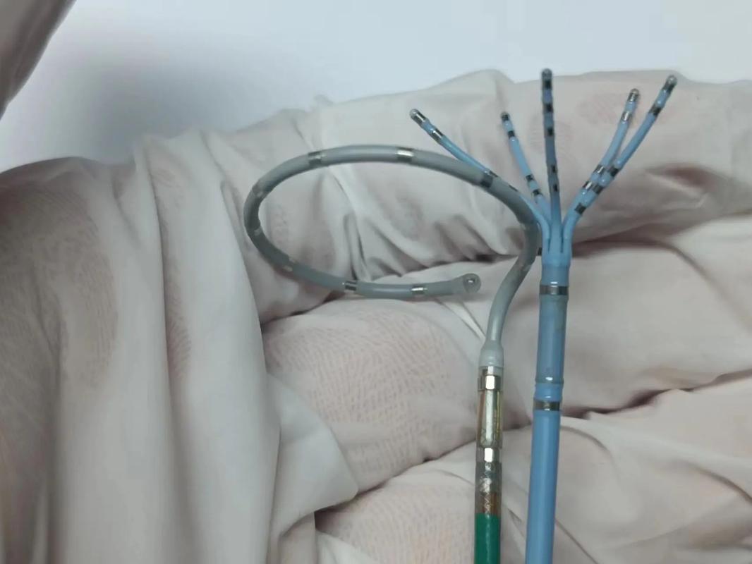 Lynx机器人消融导管有何独特优势？-第2张图片-广州国自机器人