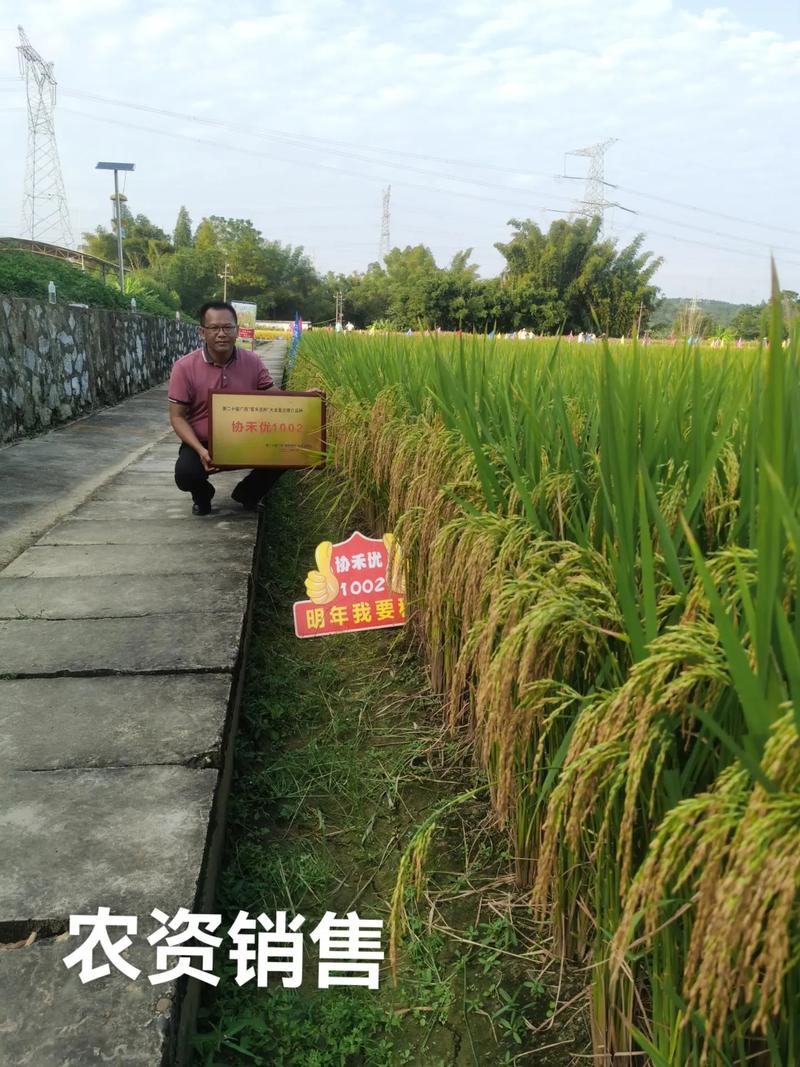 杭州无人机农业公司招什么岗位？-第1张图片-广州国自机器人