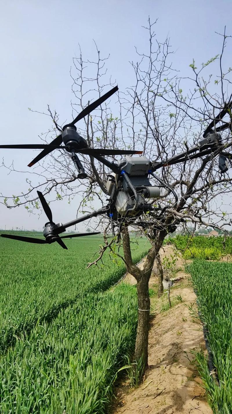 极飞植保无人机如何助力果树高效种植？-第3张图片-广州国自机器人