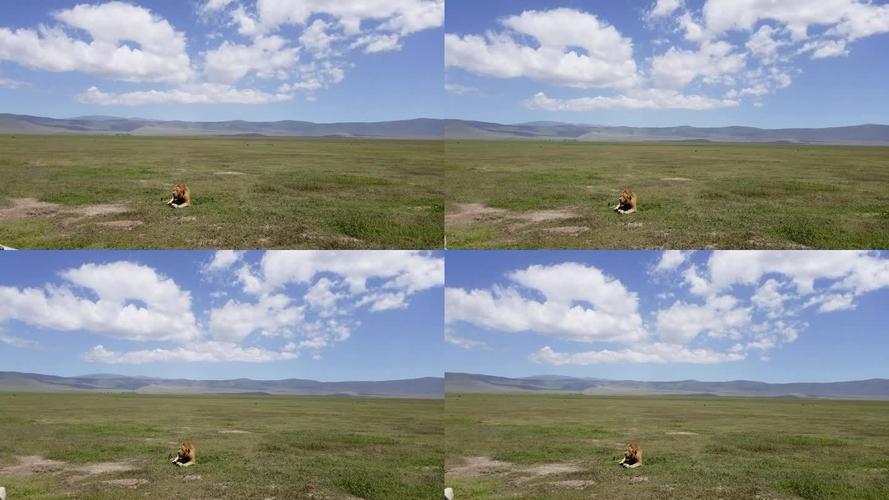 坦桑尼亚旅游，无人机怎么玩才合规又出彩？-第1张图片-广州国自机器人