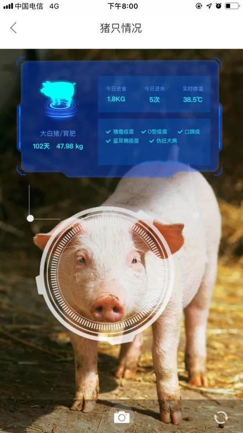 AI养猪如何改变传统养殖模式？-第3张图片-广州国自机器人