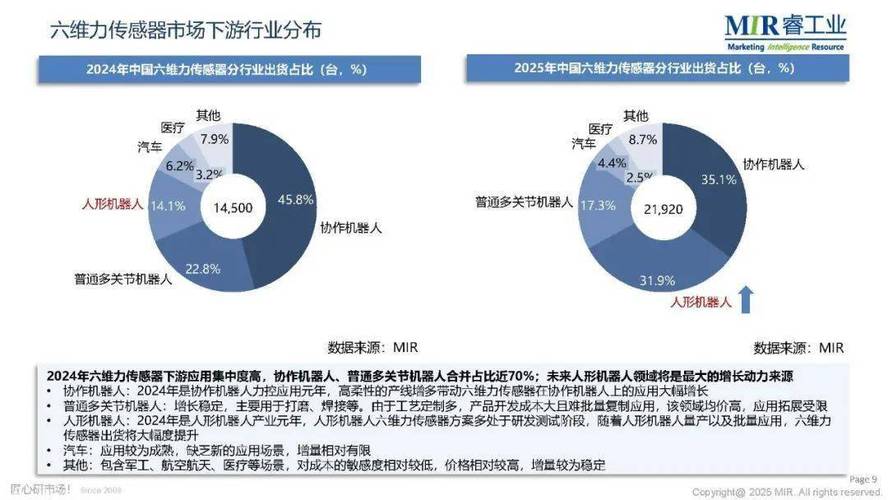2025国产机器人销量将如何？-第3张图片-广州国自机器人
