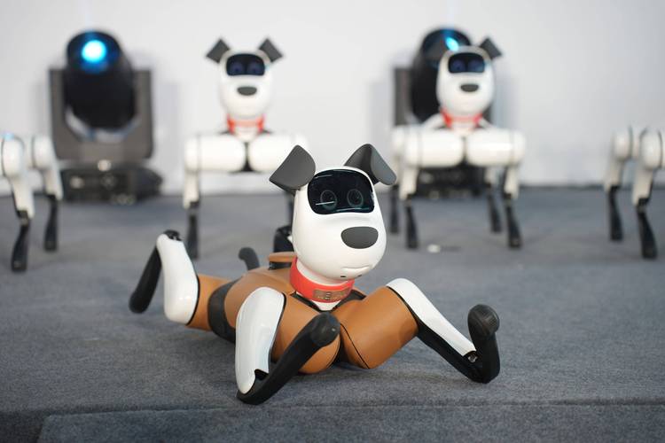 假扮baby q机器人有何用意？-第1张图片-广州国自机器人