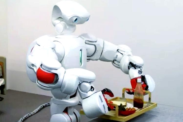 日本大学机器人专业排名如何？-第2张图片-广州国自机器人