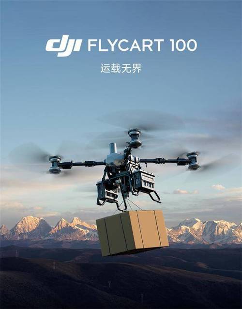 上海为何限制大疆无人机？-第3张图片-广州国自机器人