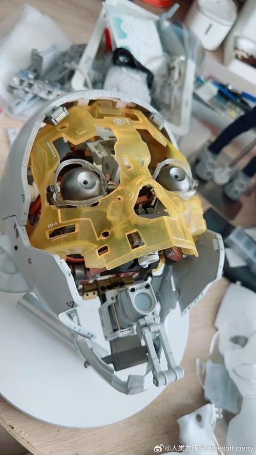 alpha 机器人 拆-第3张图片-广州国自机器人