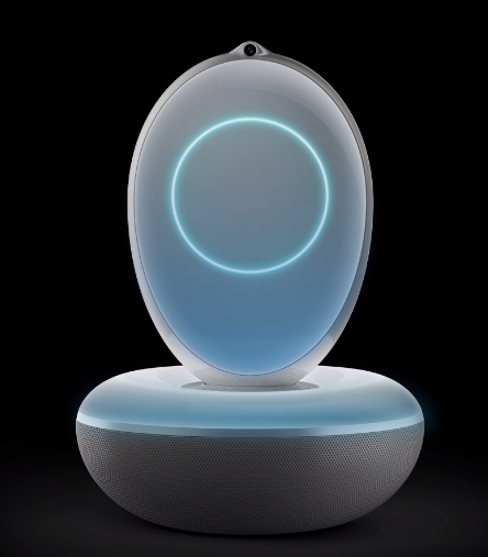 机器人rokid 外形-第1张图片-广州国自机器人