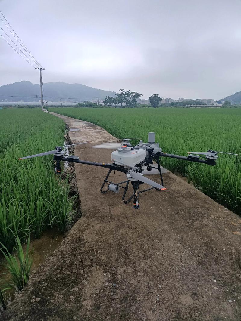 无人机喷洒农药智能农业-第1张图片-广州国自机器人
