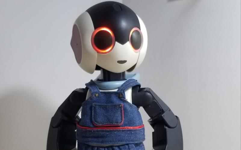 Robi机器人为何与陈柏霖关联？-第1张图片-广州国自机器人