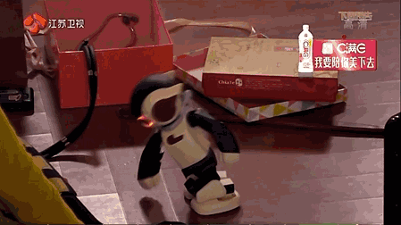 Robi机器人为何与陈柏霖关联？-第3张图片-广州国自机器人