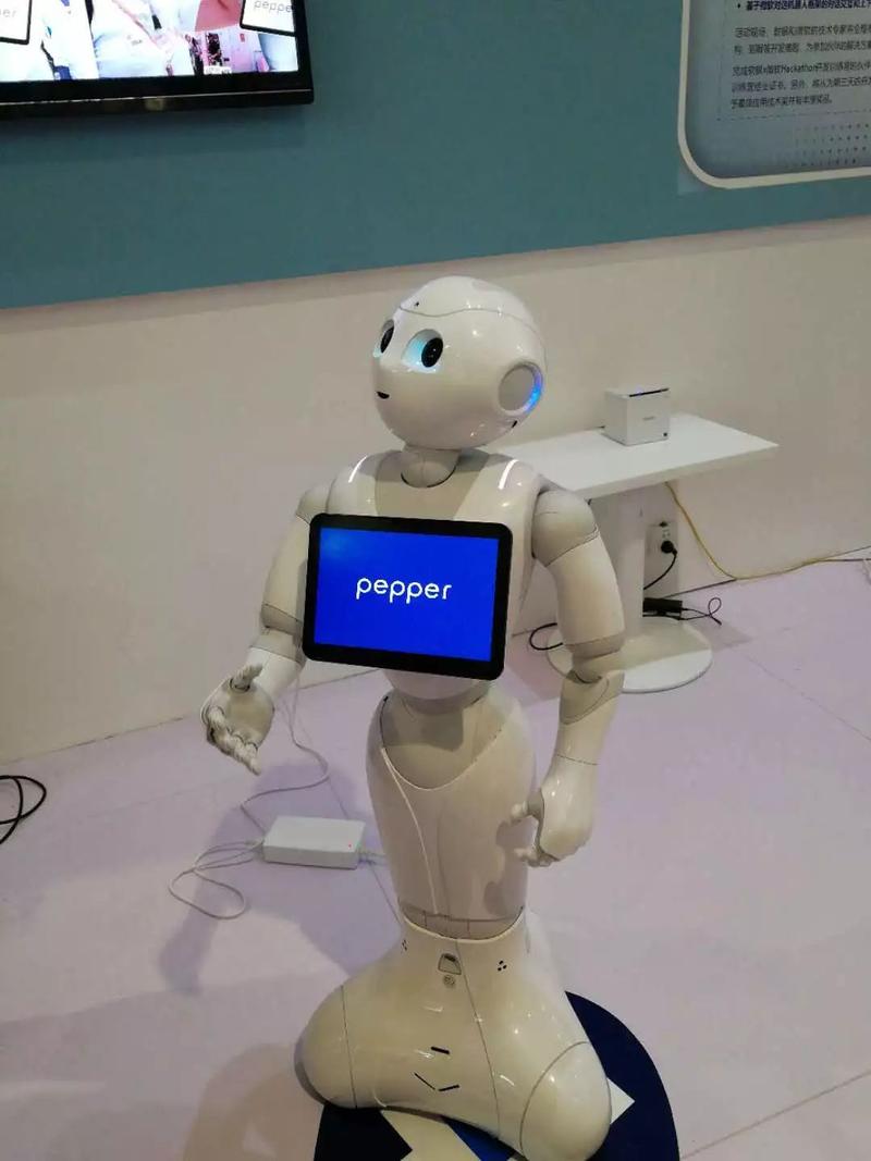 pepper机器人应用-第3张图片-广州国自机器人