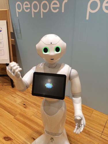 家庭机器人pepper-第1张图片-广州国自机器人 家庭机器人pepper-第1张图片-广州国自机器人