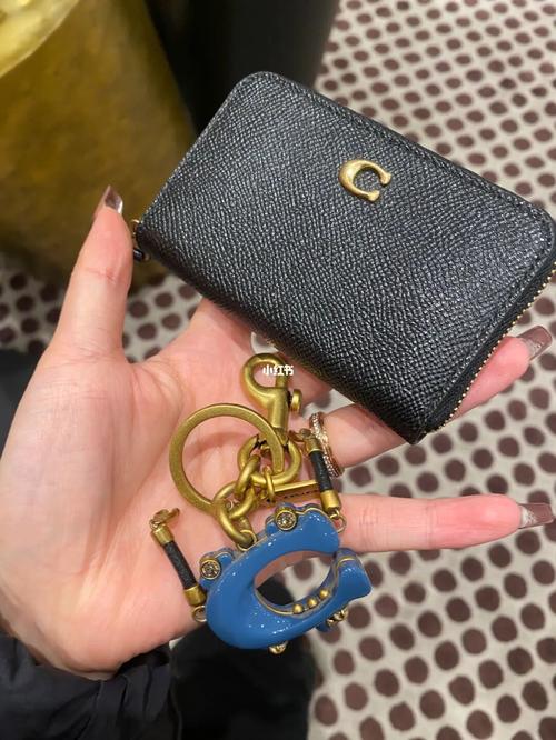 coach联名 机器人-第1张图片-广州国自机器人 coach联名 机器人-第1张图片-广州国自机器人