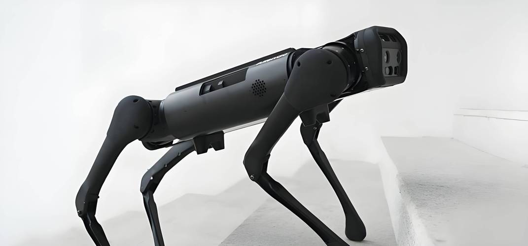 netcam彗星机器人是什么?-第3张图片-广州国自机器人 netcam彗星机器人是什么?-第3张图片-广州国自机器人