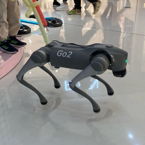 clear go机器人-第2张图片-广州国自机器人