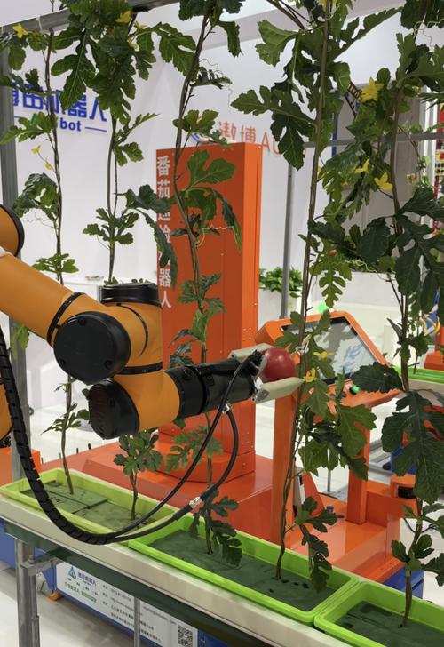 walker采收机器人-第2张图片-广州国自机器人