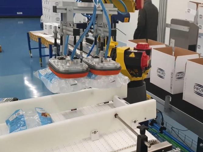 pepper机器人装箱-第1张图片-广州国自机器人