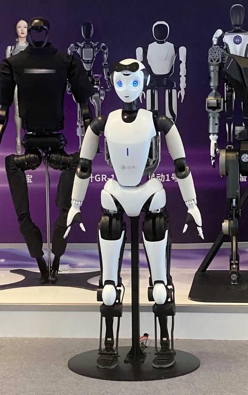 ipal机器人有何独特功能？-第2张图片-广州国自机器人