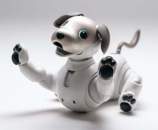 AI机器人aibo能带来怎样的陪伴体验?-第1张图片-广州国自机器人 AI机器人aibo能带来怎样的陪伴体验?-第1张图片-广州国自机器人