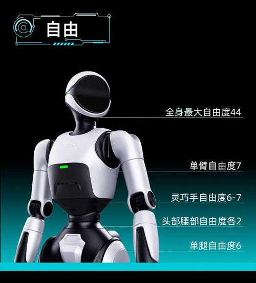 acrobot 机器人-第2张图片-广州国自机器人 acrobot 机器人-第2张图片-广州国自机器人