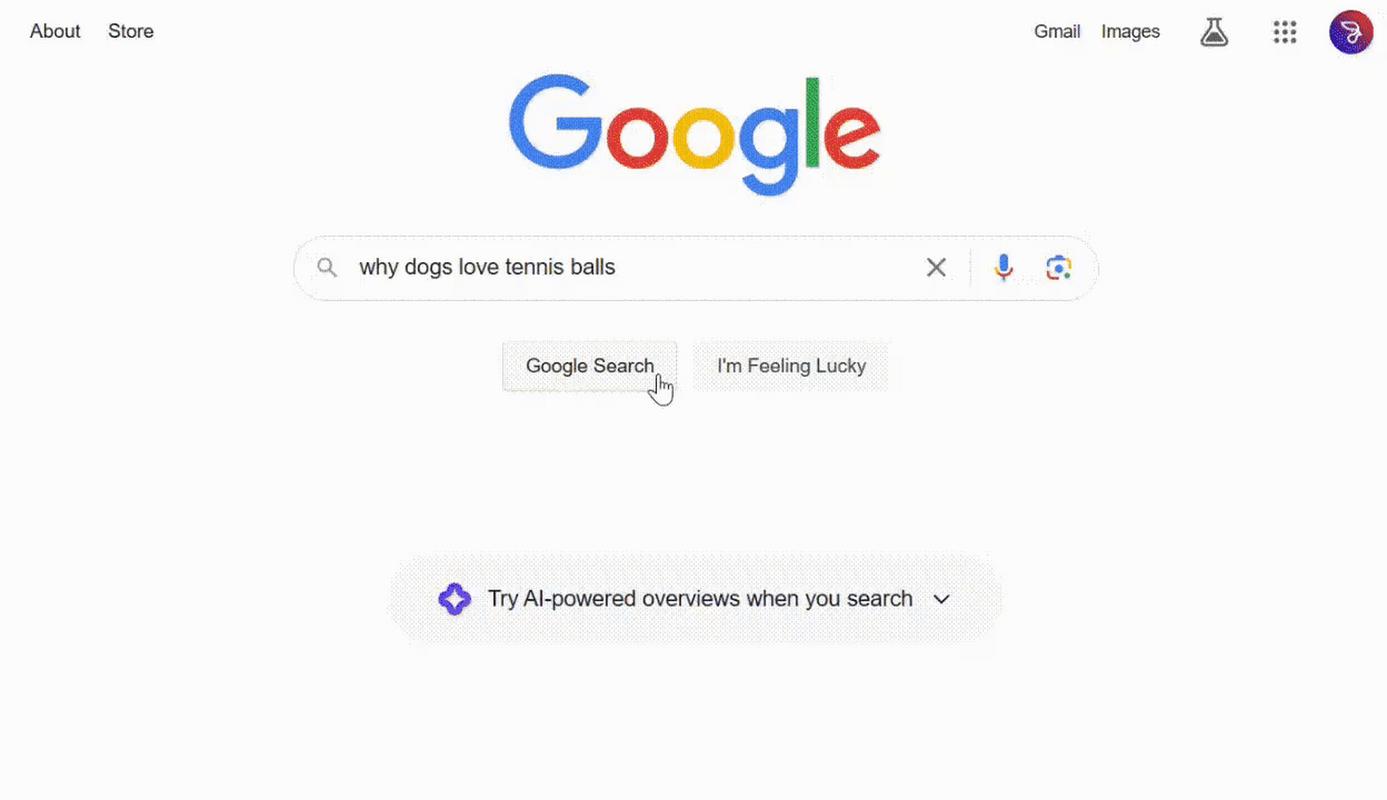 谷歌人工智能啥时候有的-第2张图片-广州国自机器人