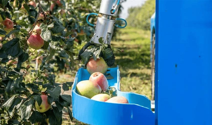 摘果机器人如何实现精准高效采摘？-第2张图片-广州国自机器人