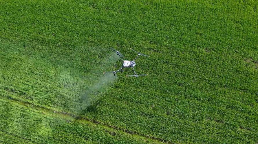 无人机如何用人工智能赋能智慧农业？-第2张图片-广州国自机器人