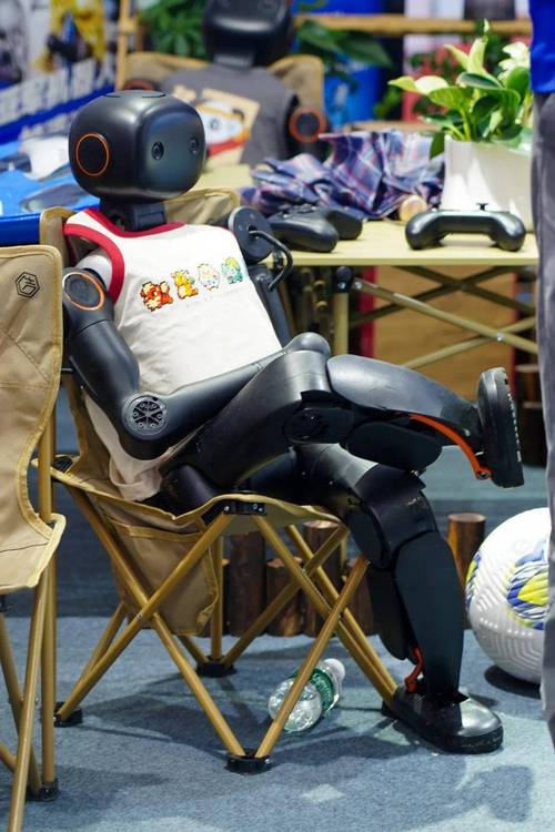 世界机器人大会，机器人如何改变未来？-第1张图片-广州国自机器人