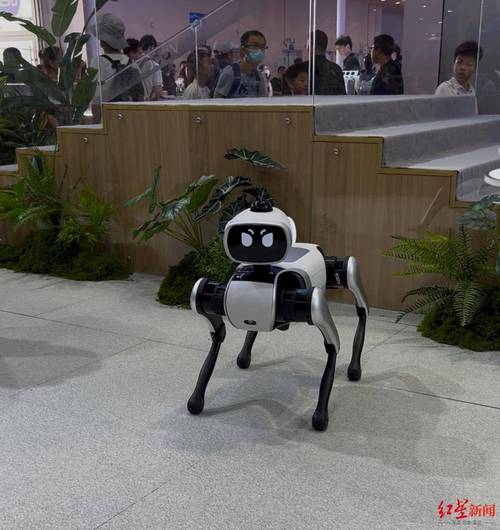 服务机器人与伴随机器人有何不同？-第3张图片-广州国自机器人