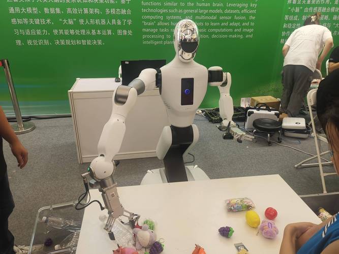 娱乐机器人有哪些常见分类？-第3张图片-广州国自机器人