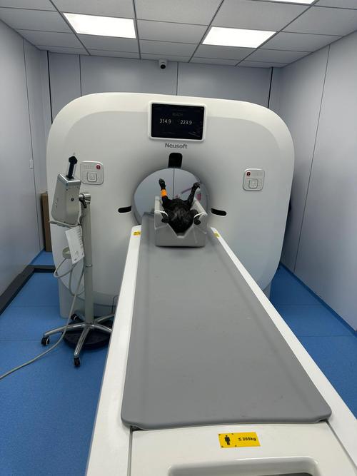 AI如何高效筛查CT片？-第2张图片-广州国自机器人