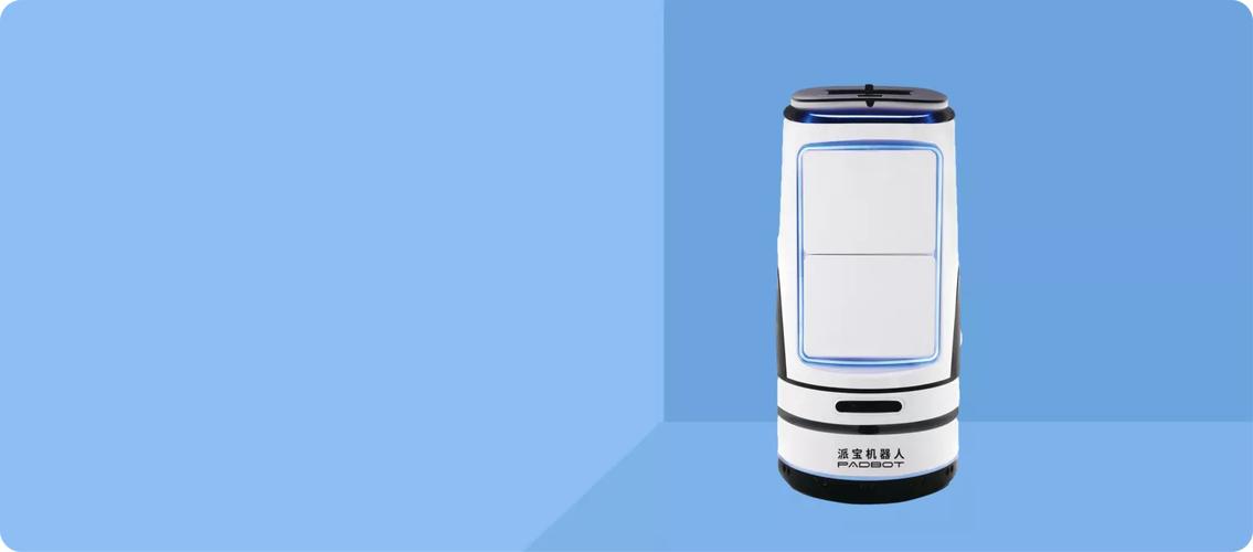 派宝机器人T1为何必须联网？-第2张图片-广州国自机器人