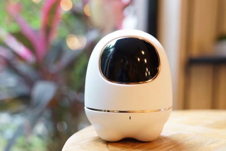 阿尔法小蛋机器人体验如何?-第1张图片-广州国自机器人 阿尔法小蛋机器人体验如何?-第1张图片-广州国自机器人