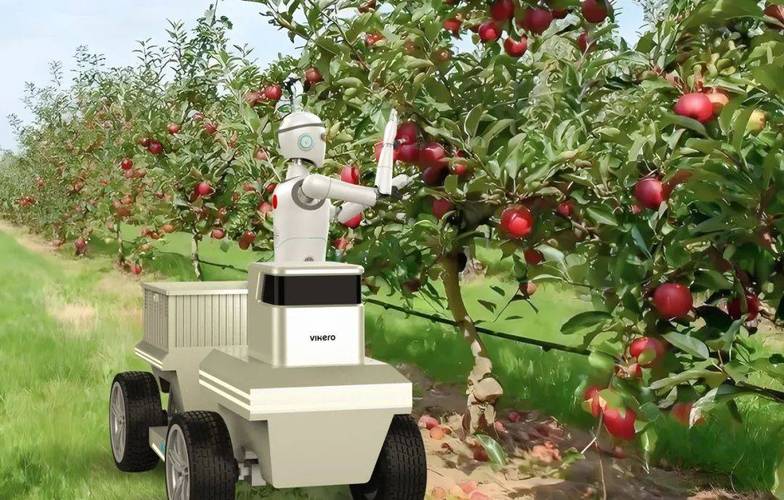 机器人农业如何用人工智能提升效率？-第3张图片-广州国自机器人