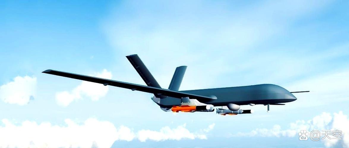 巴基斯坦为何默许无人机行动？-第1张图片-广州国自机器人