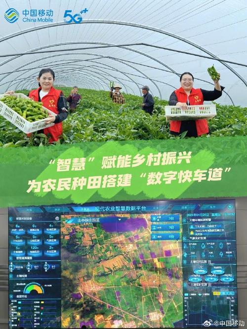 AI如何赋能农村信息服务？-第2张图片-广州国自机器人