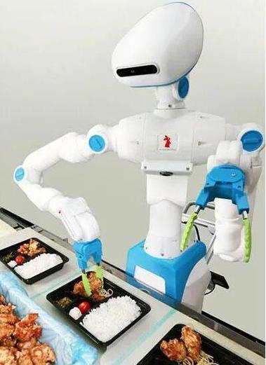 2025日本智能机器人将如何改变生活?-第2张图片-广州国自机器人 2025日本智能机器人将如何改变生活?-第2张图片-广州国自机器人