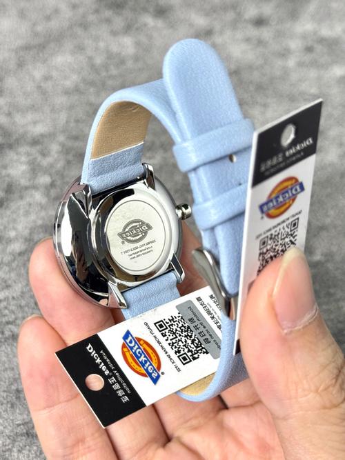 Dobby无人机哪里能买到？-第2张图片-广州国自机器人