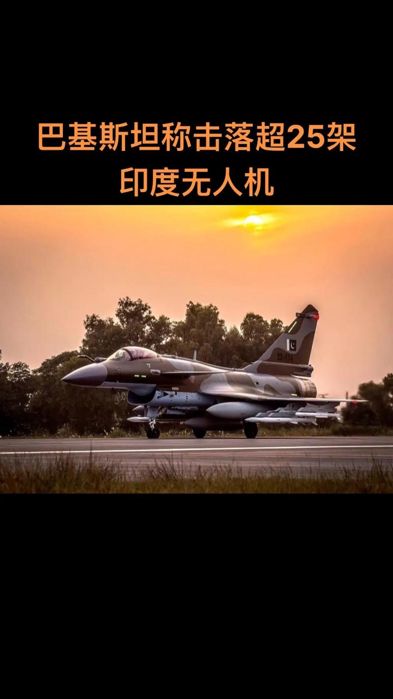 印度 无人机 巴基斯坦-第2张图片-广州国自机器人