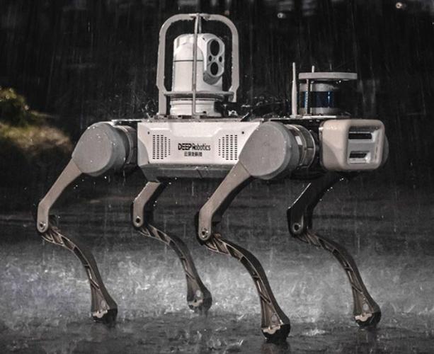四足与六足机器人，哪种更优？-第3张图片-广州国自机器人