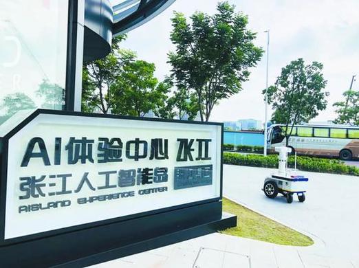 张江AI岛党员挂靠有何特殊意义？-第1张图片-广州国自机器人
