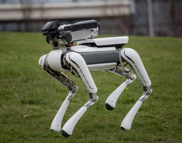 spotmini机器人-第1张图片-广州国自机器人