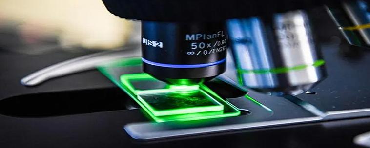 谷歌用人工智能设计芯片-第1张图片-广州国自机器人