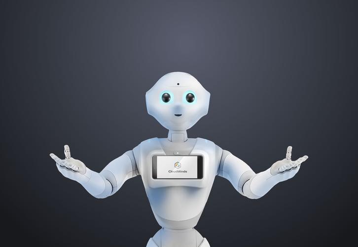 Pepper机器人，如何改变我们的日常互动？-第2张图片-广州国自机器人