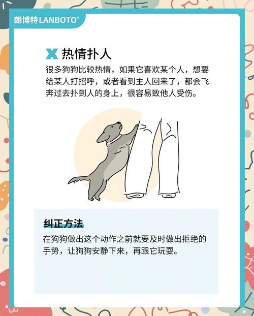 AI如何精准识别小狗？-第3张图片-广州国自机器人