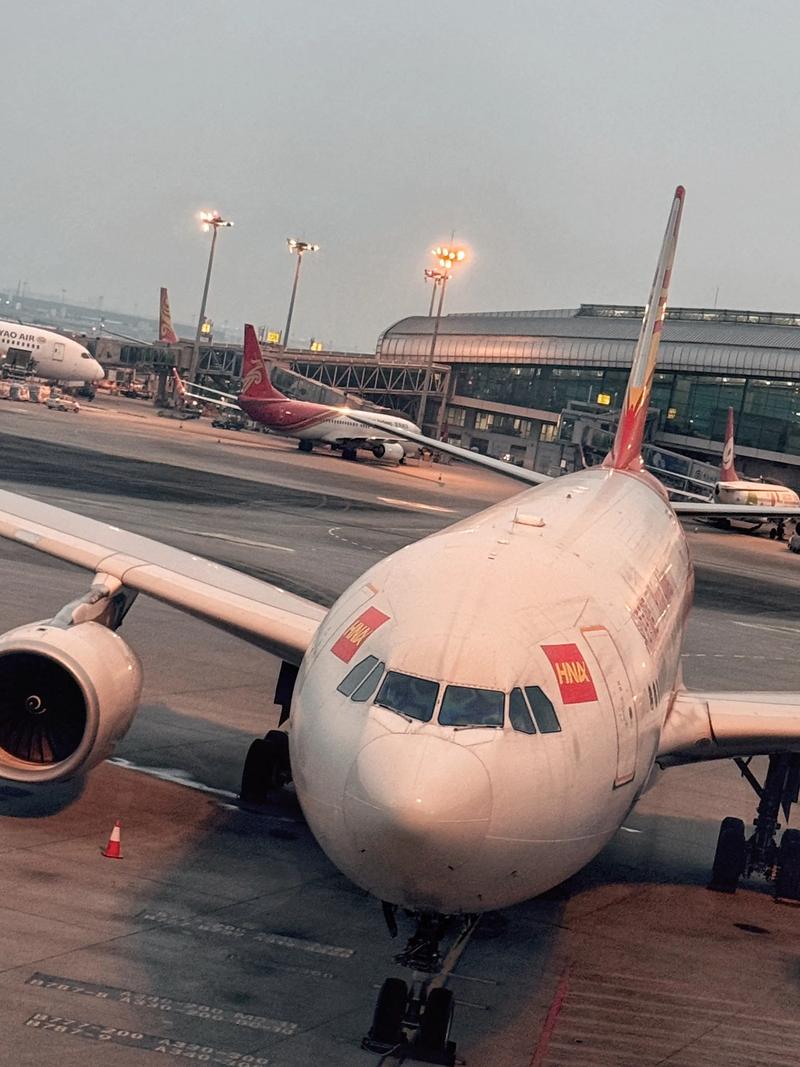 重庆机场遭无人机入侵致延误何时解？-第3张图片-广州国自机器人