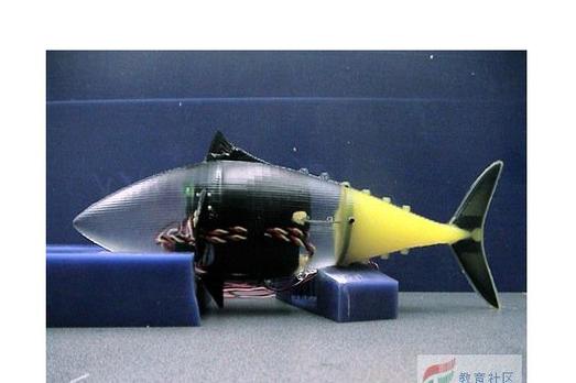 仿生机器人如何实现类人智能与灵活运动？-第1张图片-广州国自机器人