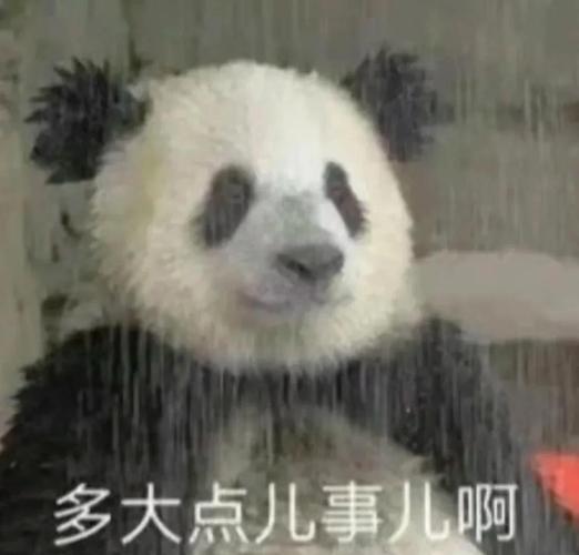 如何自己制作QQ机器人？-第1张图片-广州国自机器人