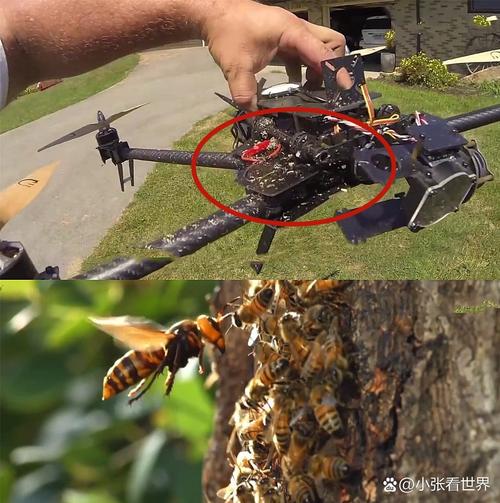 2047美国无人机误伤-第2张图片-广州国自机器人