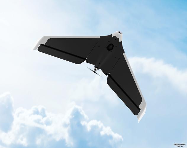 parrot无人机照片有何独特之处？-第1张图片-广州国自机器人